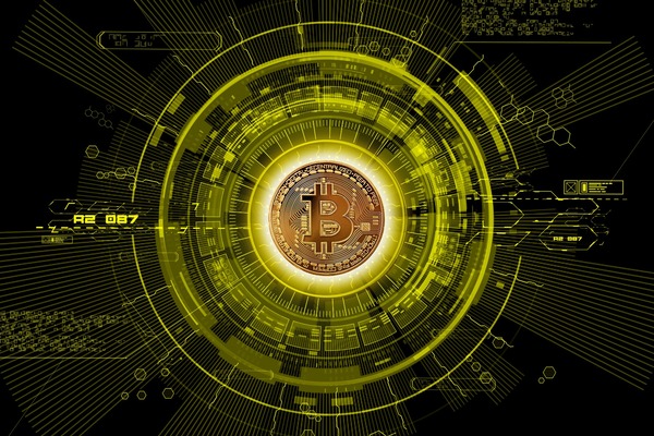 Hardware wallet device for securely storing cryptocurrency private keys